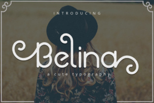Belina: A Practical Tool for Modern Workflows