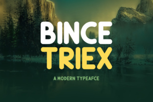 Bince Triex: A Blueprint for Smarter Digital Workflows