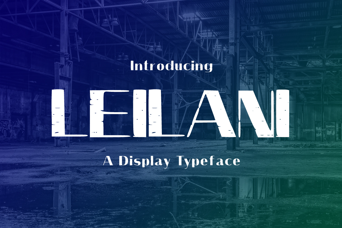 Leilani: A Practical Evaluation for Decision-Makers