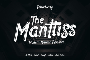 Manttiss: A Modular Framework for Adaptive Workflow Orchestration Across Disciplines
