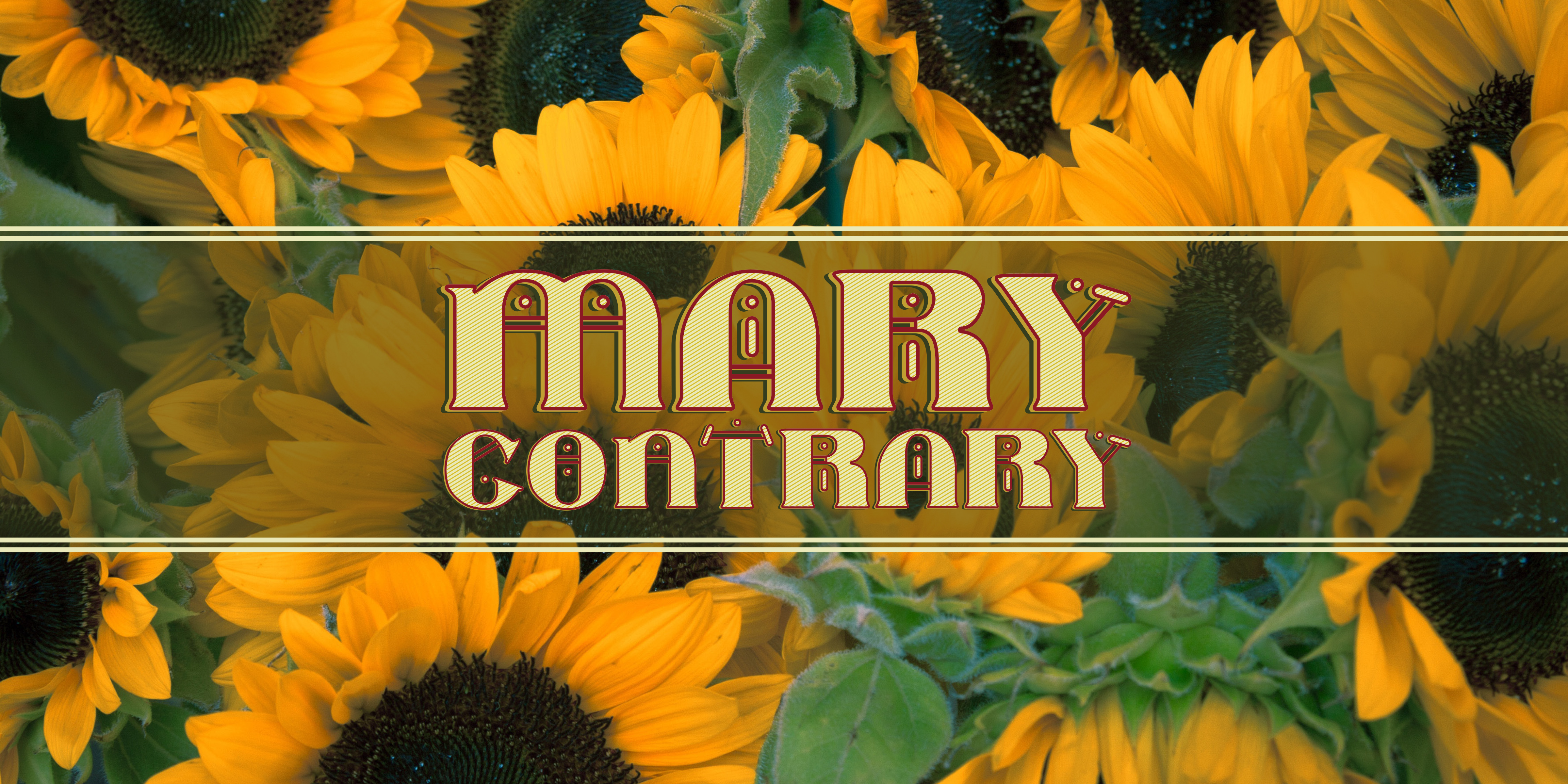 Mary Contrary: A Fresh Voice in Modern Graphic Design