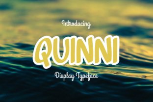 Quinni: A Practical Evaluation for Content Creators and Professionals