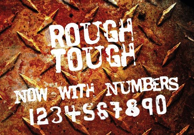 Rough Tough: Building Resilience in a Fragile World