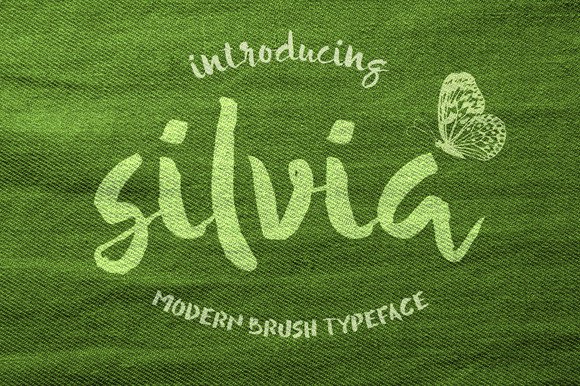 Silvia Brings Warmth and Character to Modern Design Work