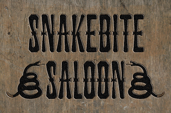 The New Creative Frontier: What Snakebite Saloon Means for Professionals and Entrepreneurs
