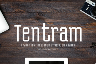 Understanding Tentram: A Practical Guide to Streamlining Your Workflow and Achieving Goals