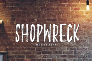 What Is Shopwreck and Why It Matters in Today's Shopping Landscape