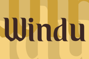 Windu and the Evolution of Modern Workflow Design